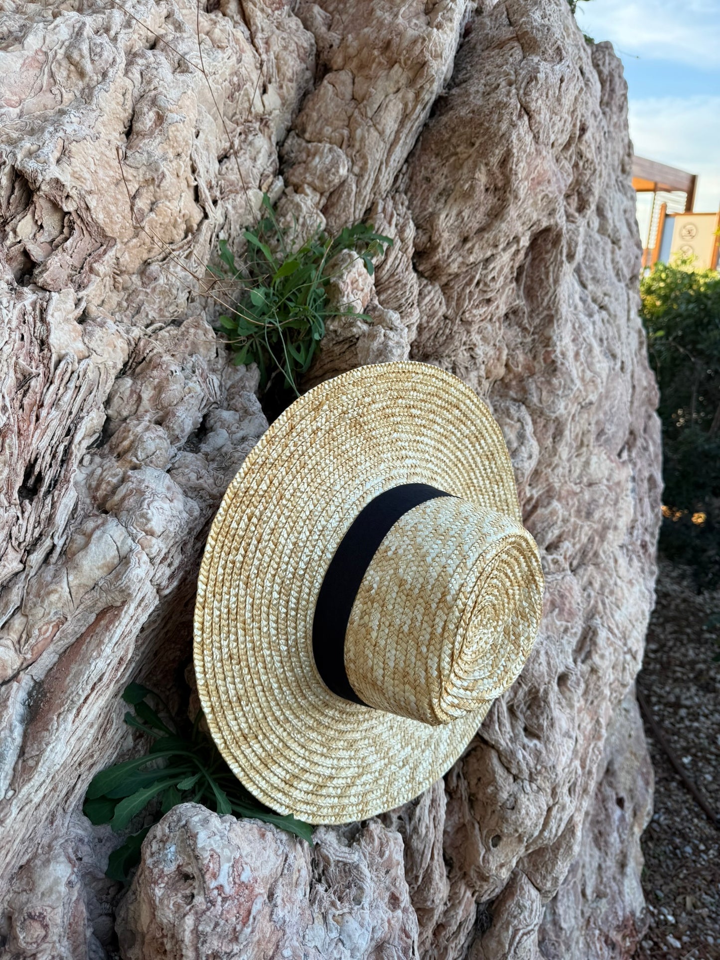 38000223-911 - ΨΑΘΙΝΟ ΦΥΣΙΚΟ